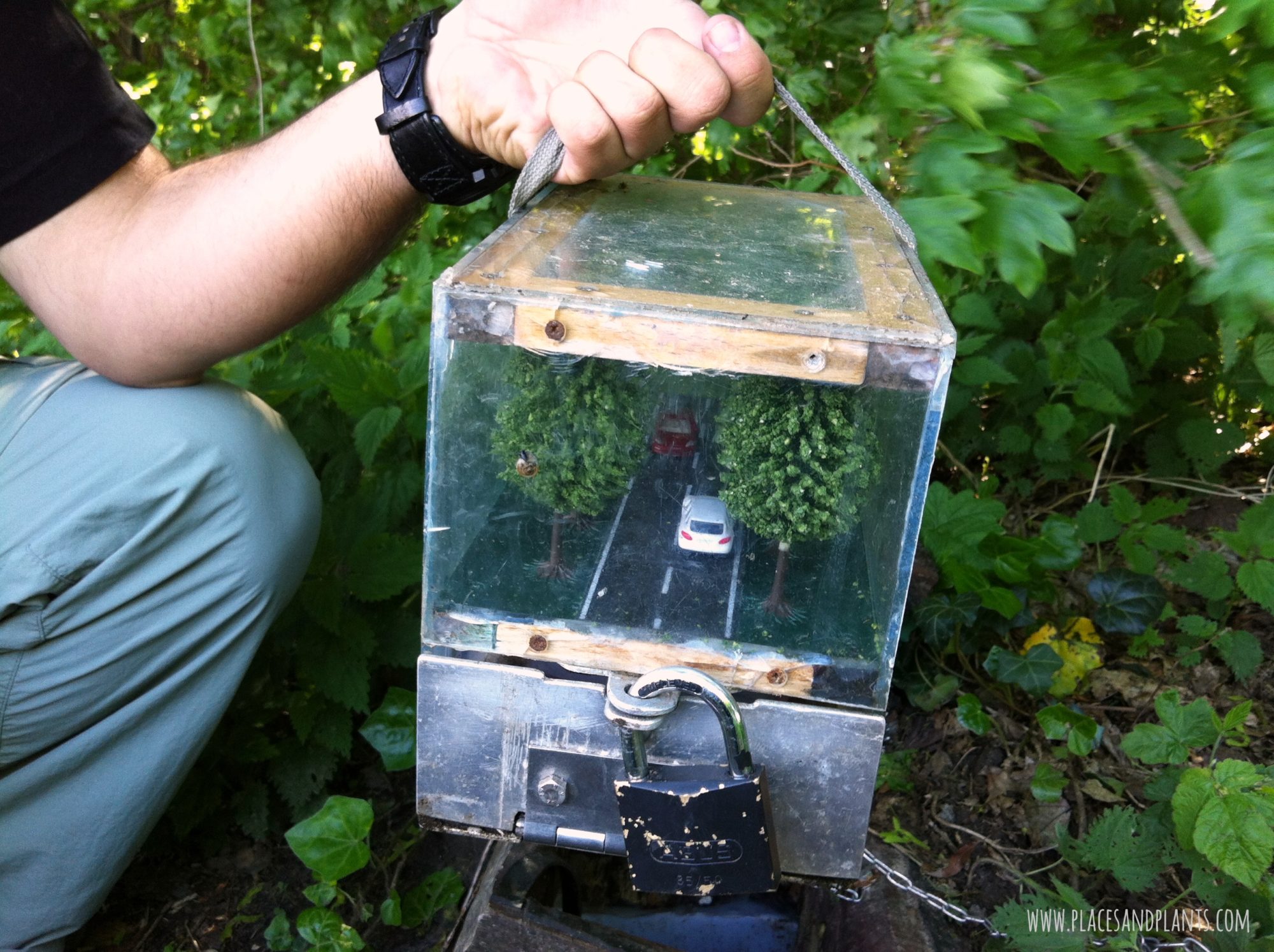 geocaching