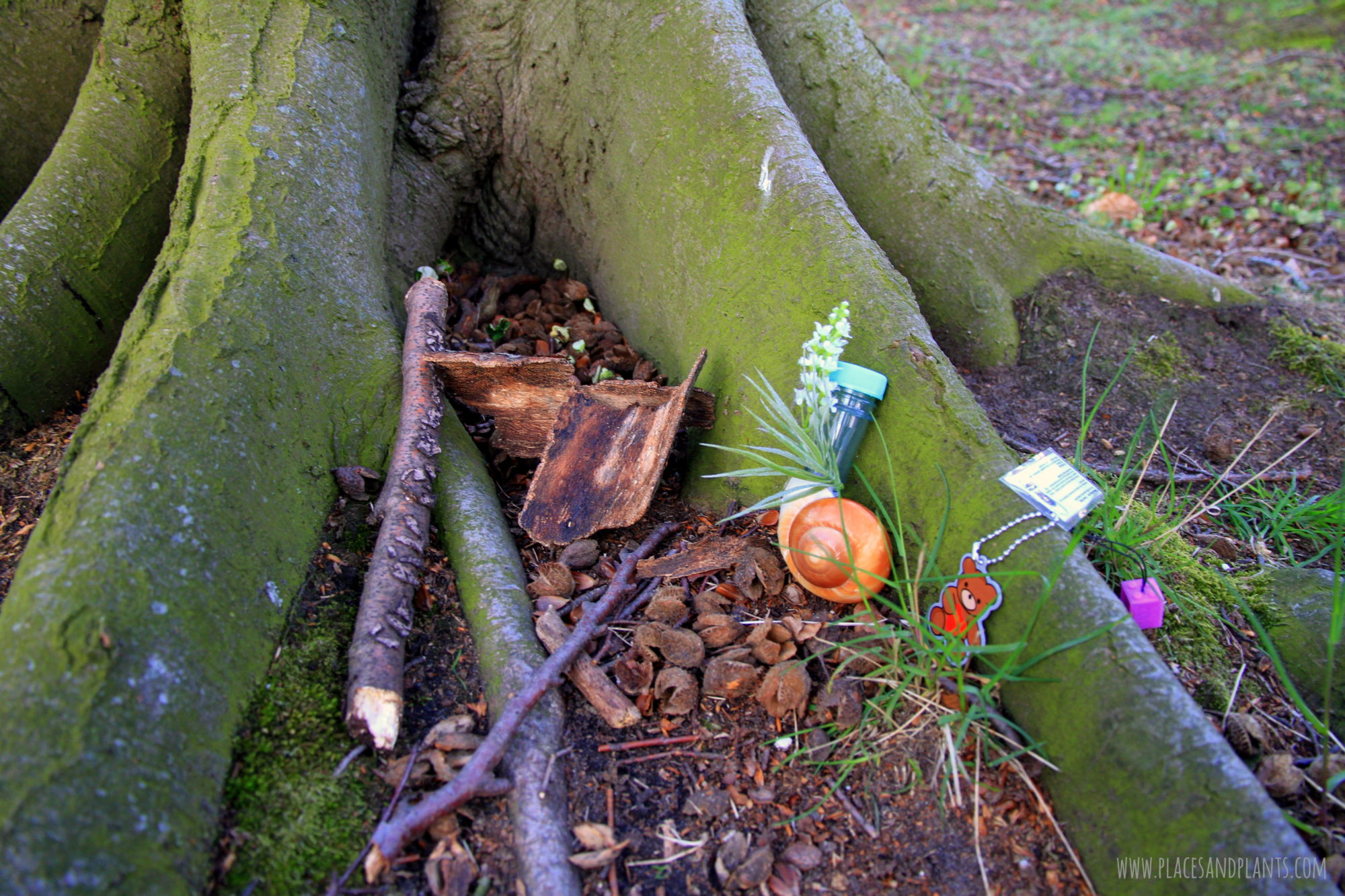 geocaching