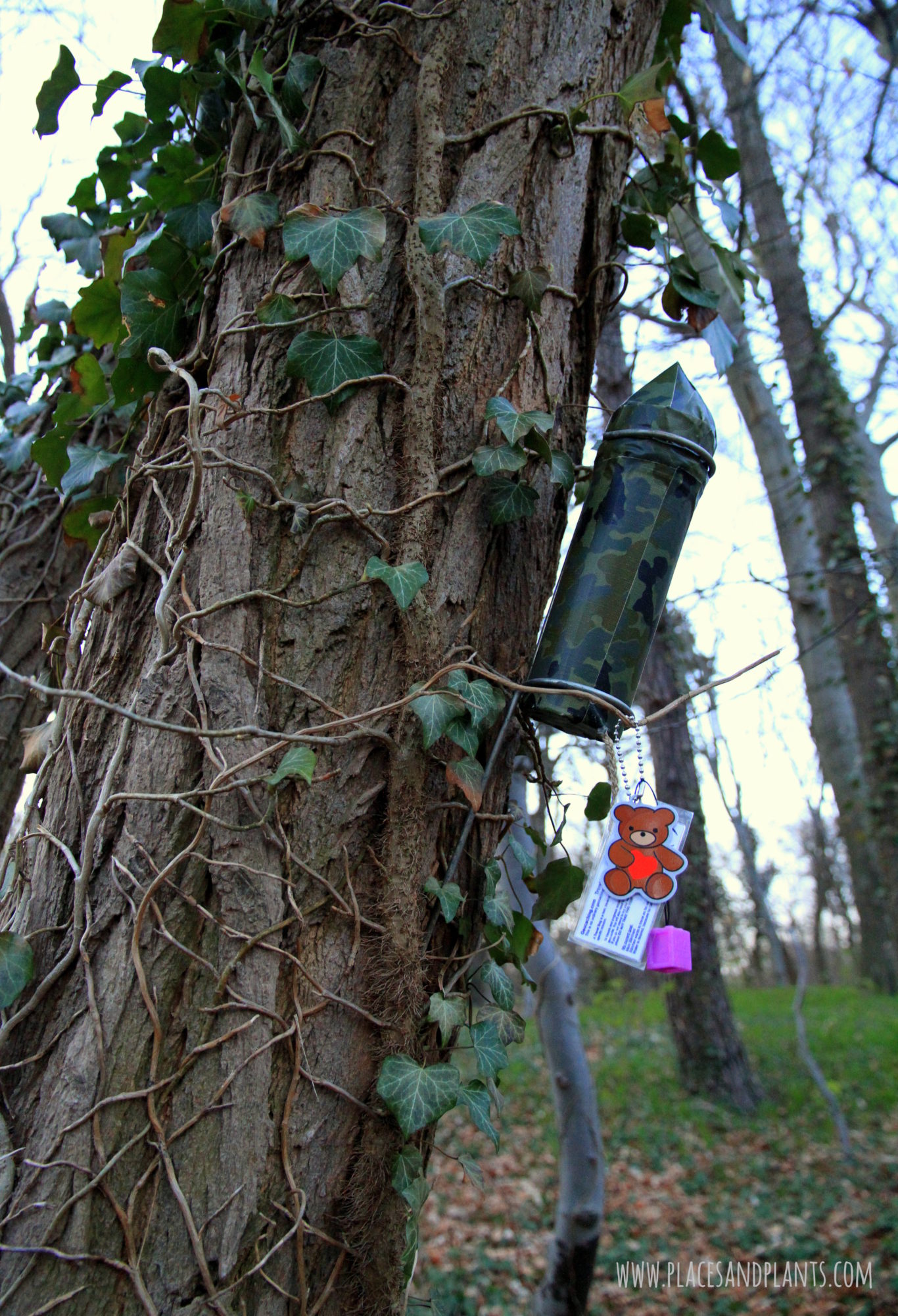 geocaching