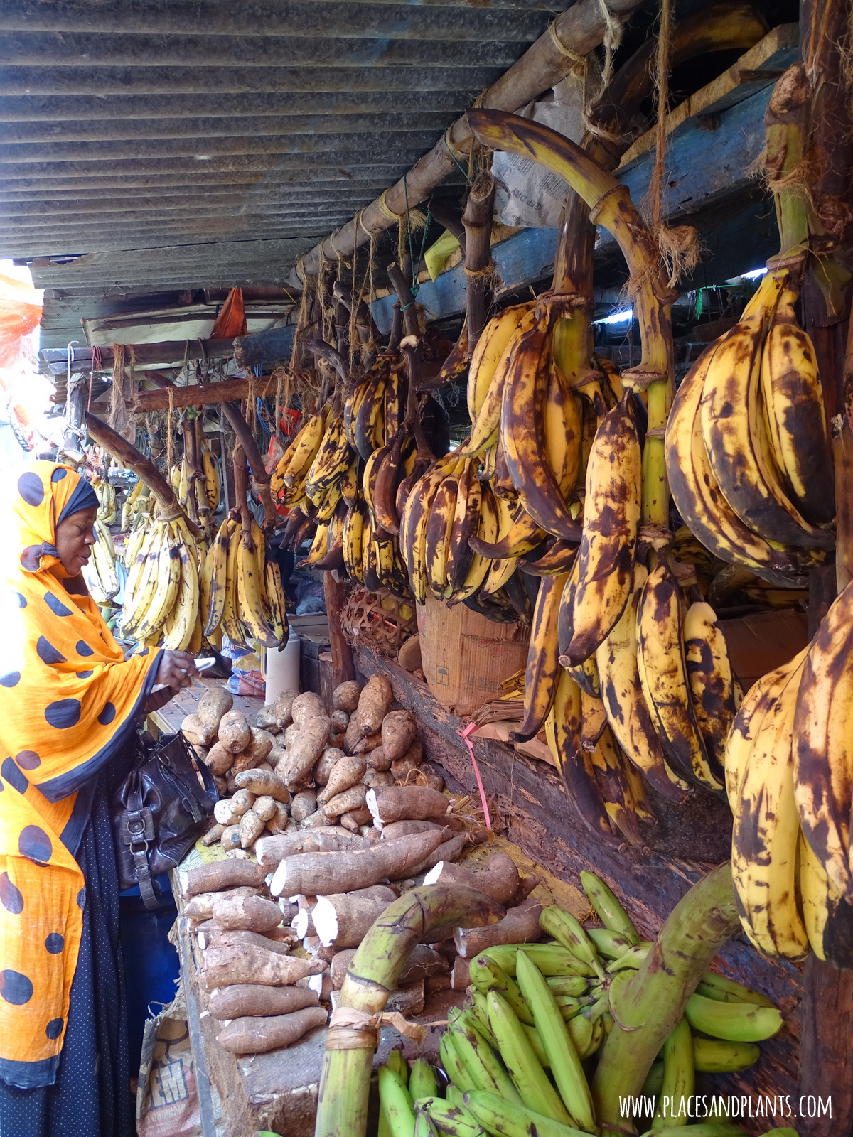 Darajani Market - dojrzałe plantany, maniok i słodkie ziemniaki