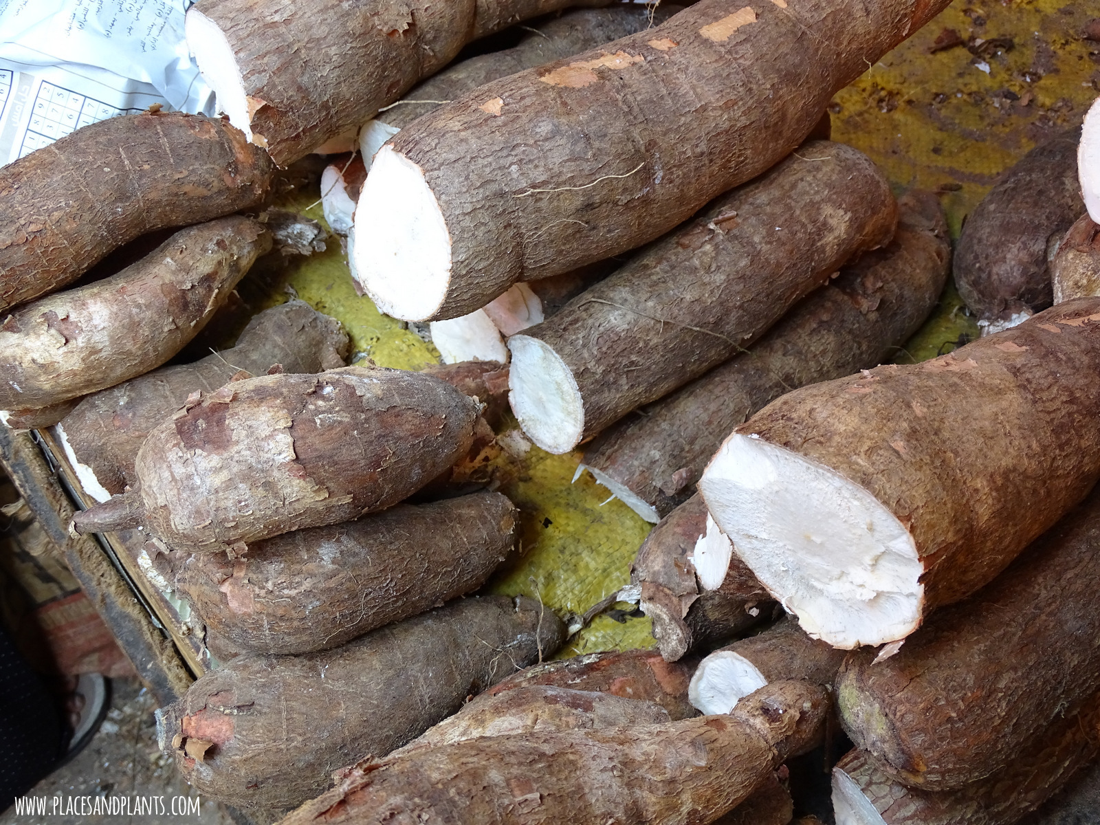 Zanzibar Darajani market maniok