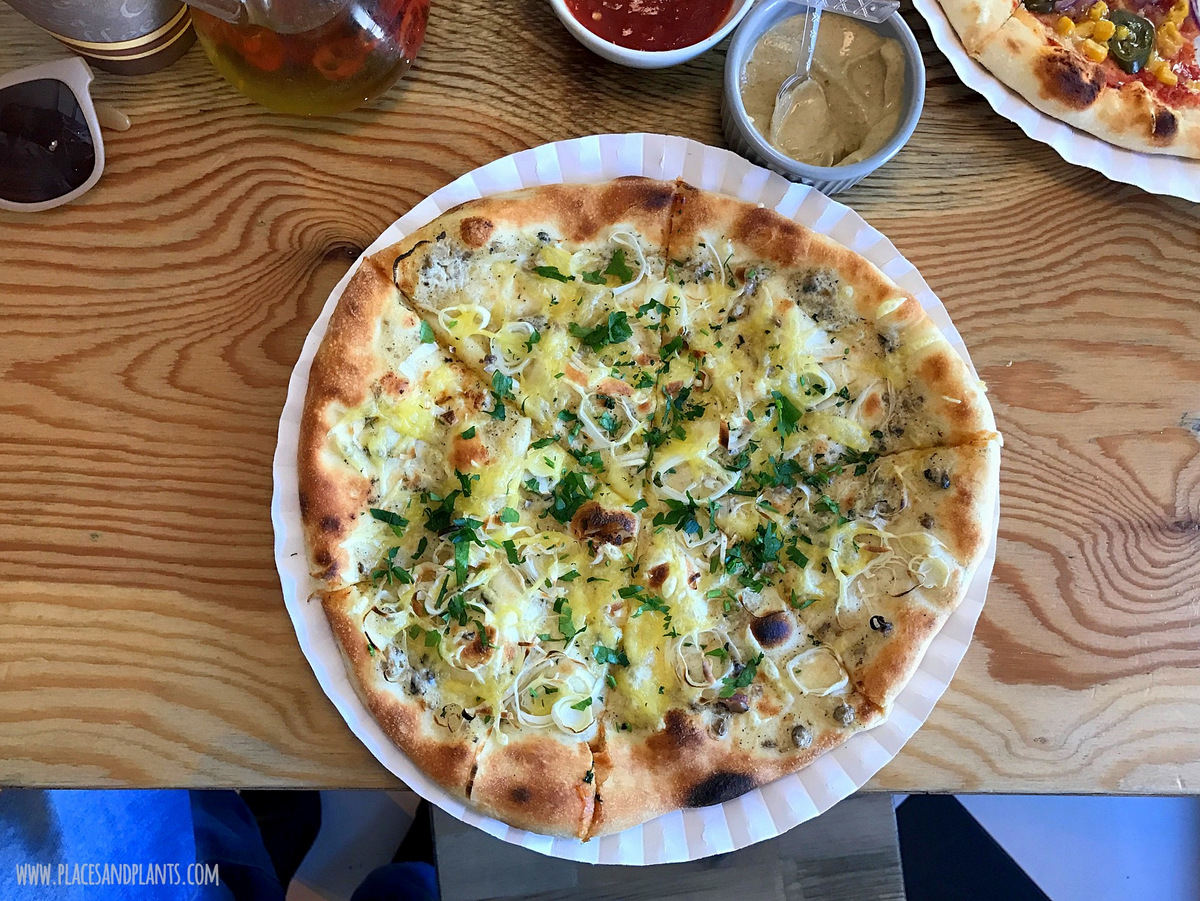 wegańska pizza Vege Pizza Poznań