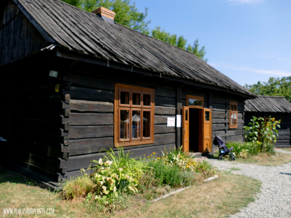 Ziołomania