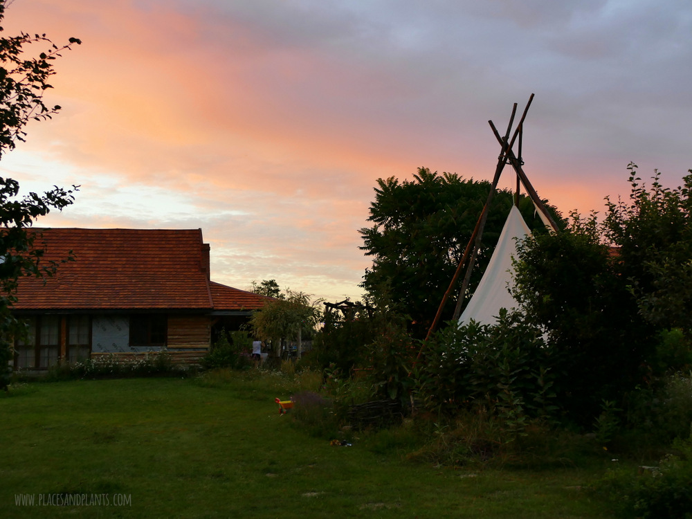 Esterka Village Festival 2017