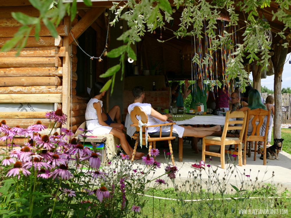Esterka Village Festival 2017