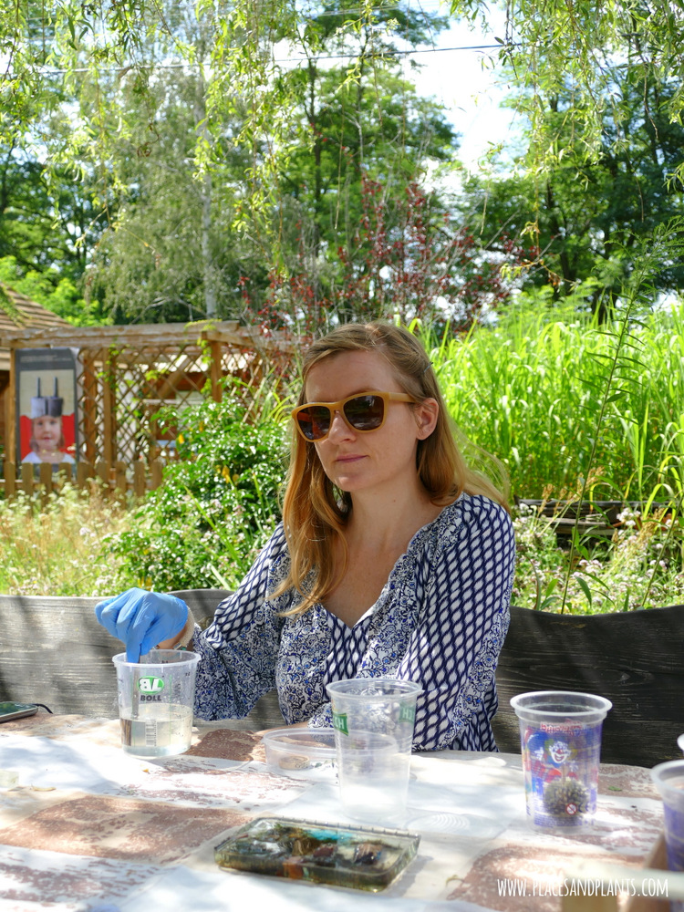 Esterka Village Festival 2017