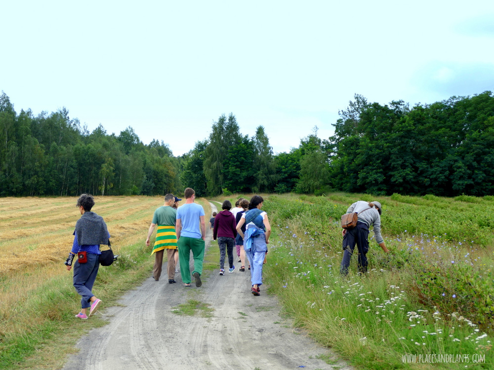 Esterka Village Festival 2017