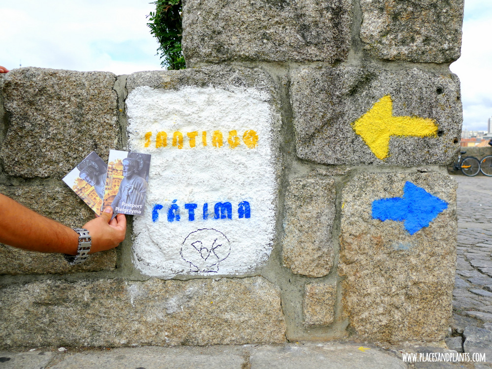 Camino de Santiago