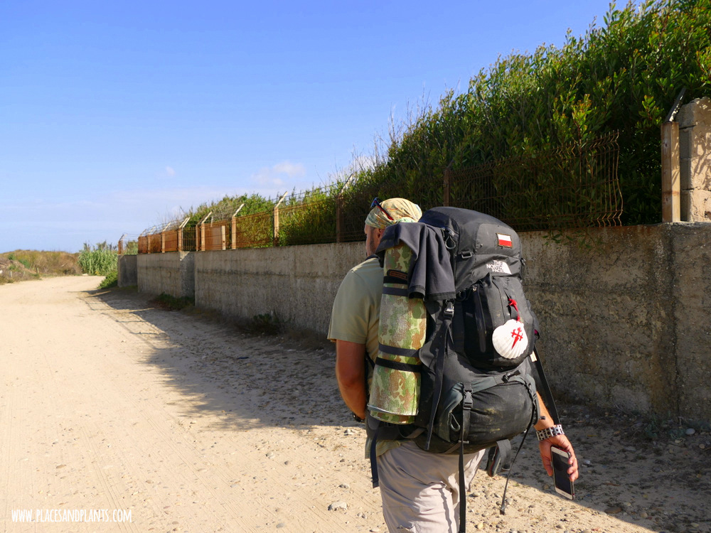 Camino de Santiago