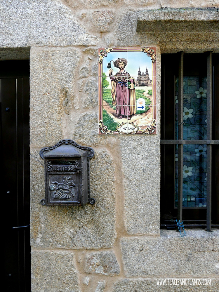 Camino de Santiago św. Jakub