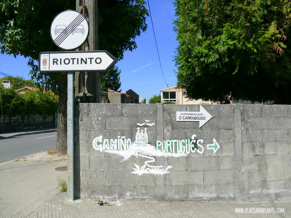 Camino Portuges