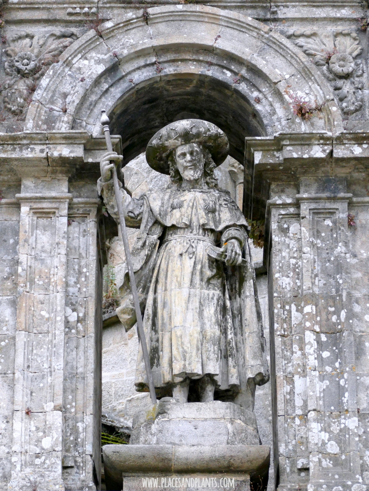 Św. Jakub na Katedrze w Santiago de Compostela