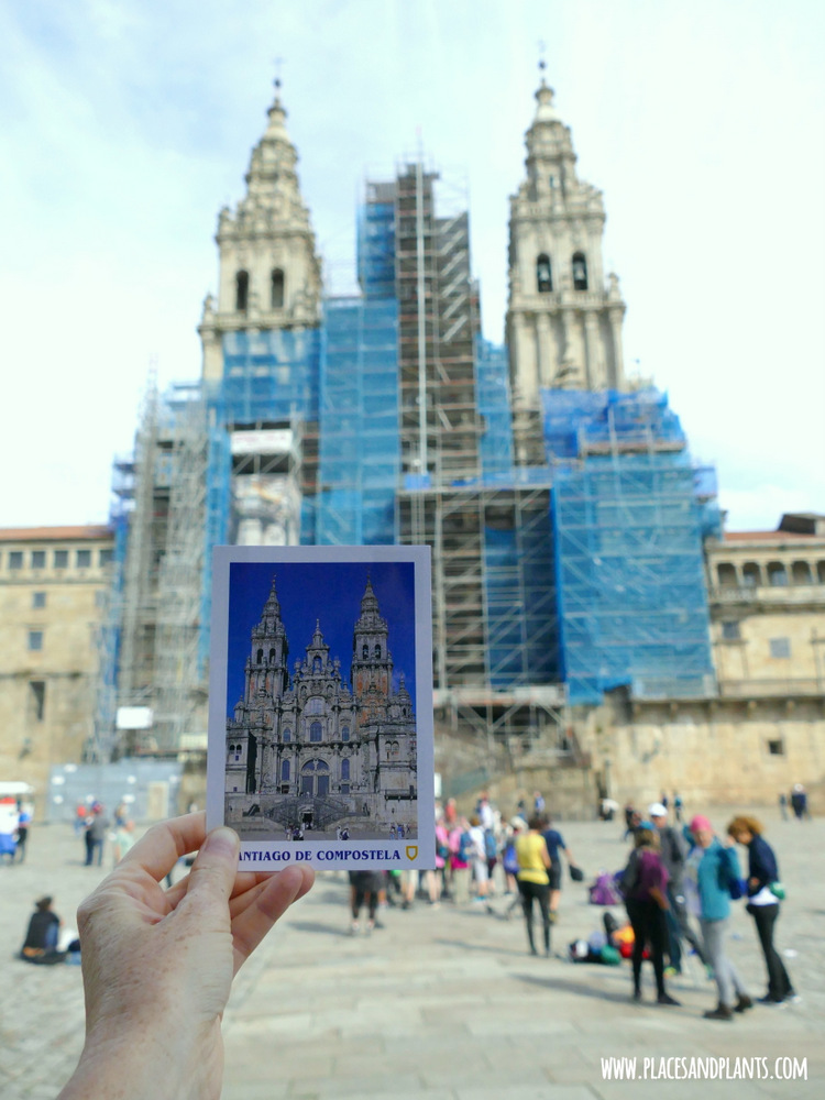 Katedra w Santiago de Compostela