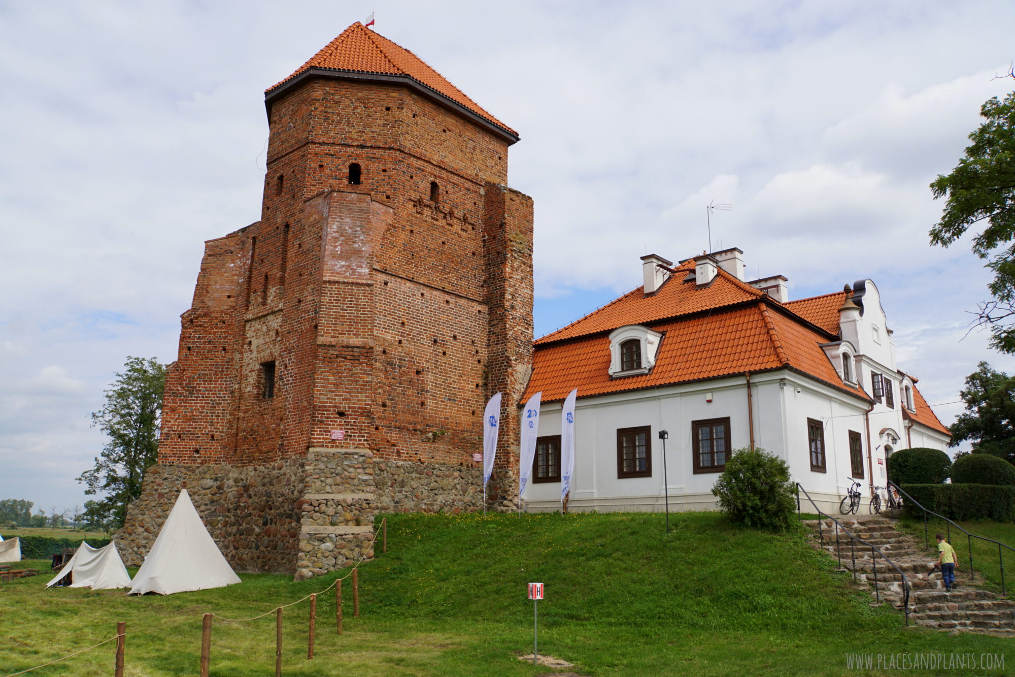 Zamek w Liwie