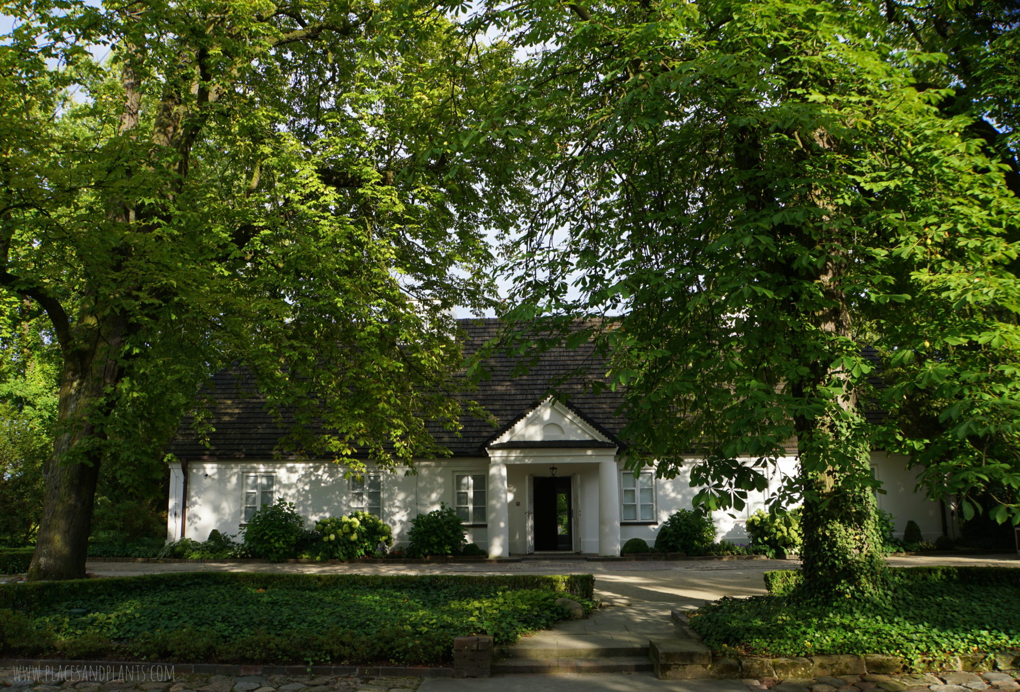Żelazowa Wola