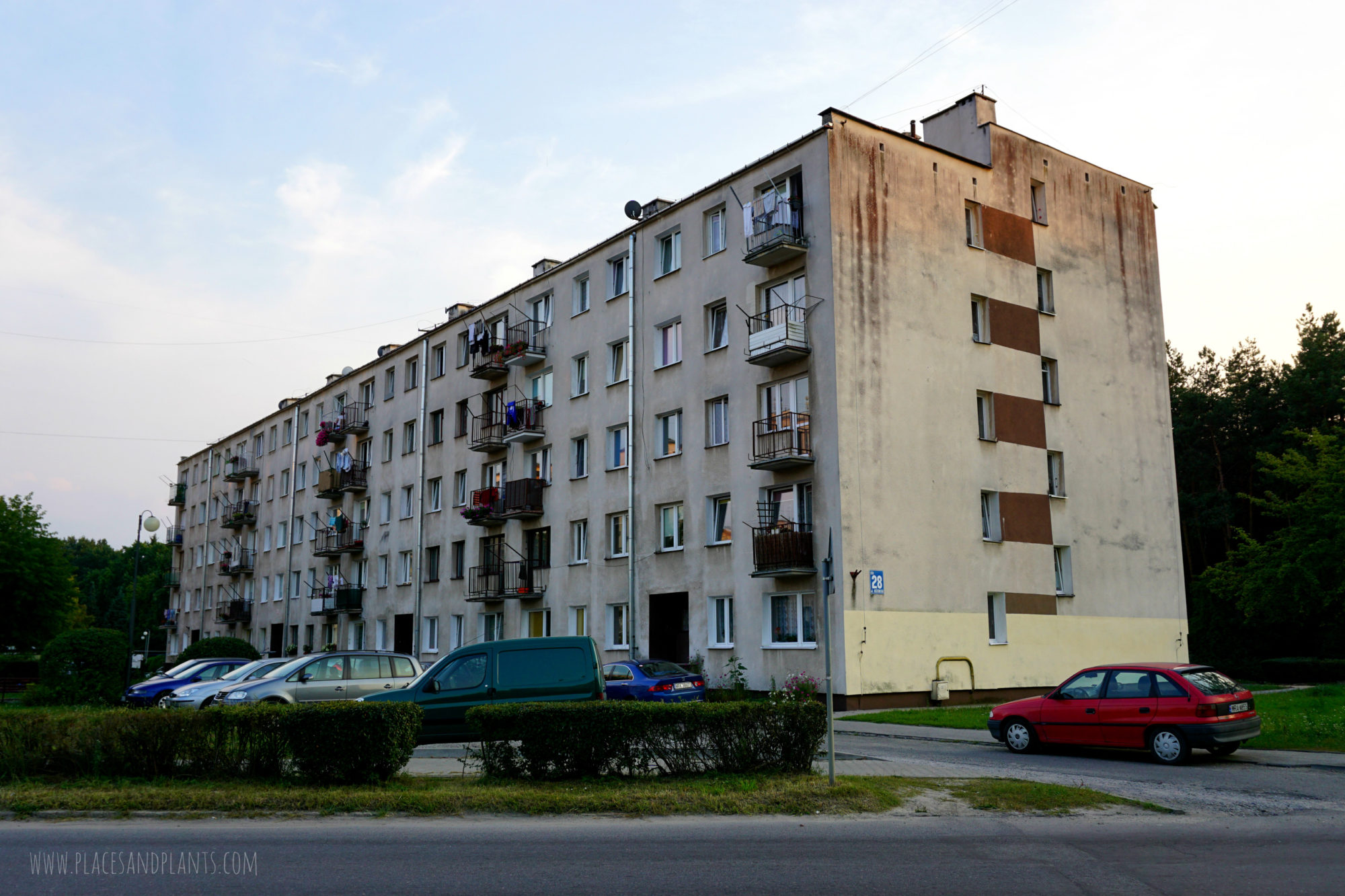 pionki