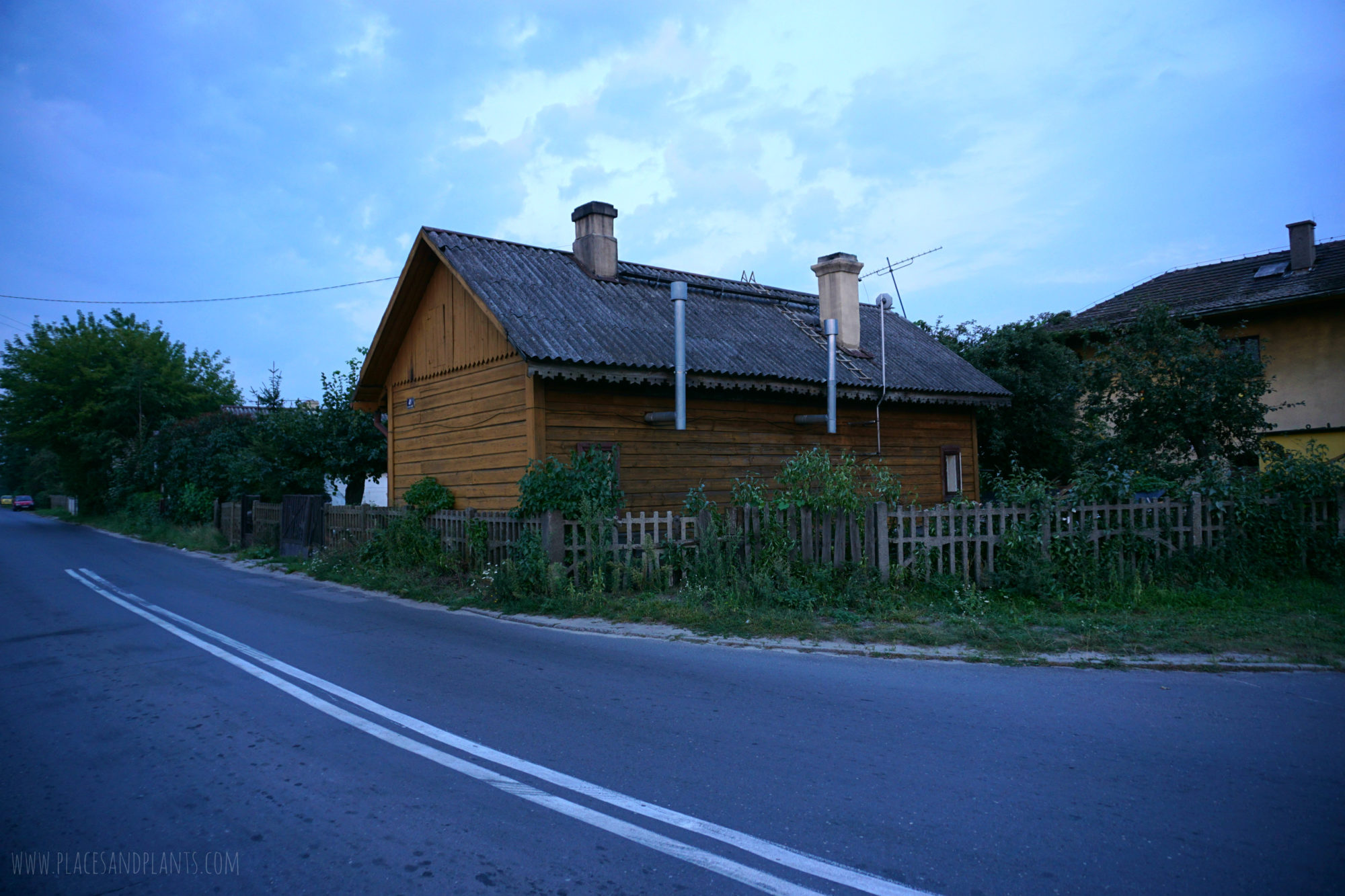 pionki