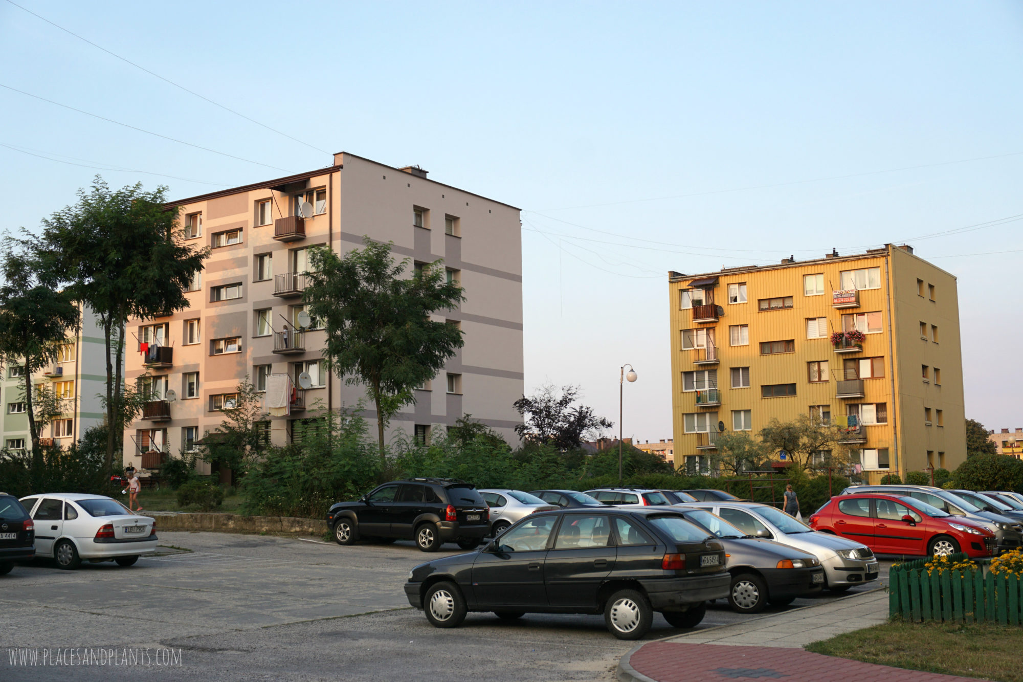 pionki