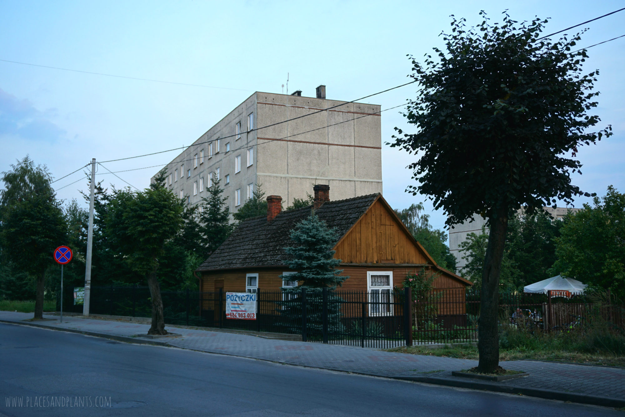 pionki