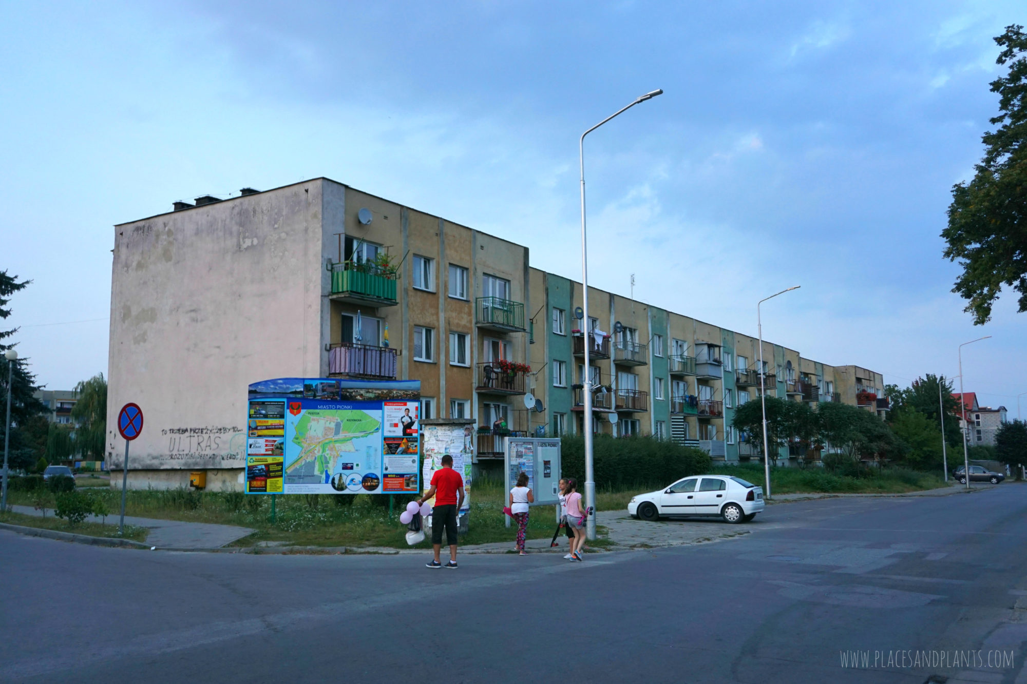 pionki
