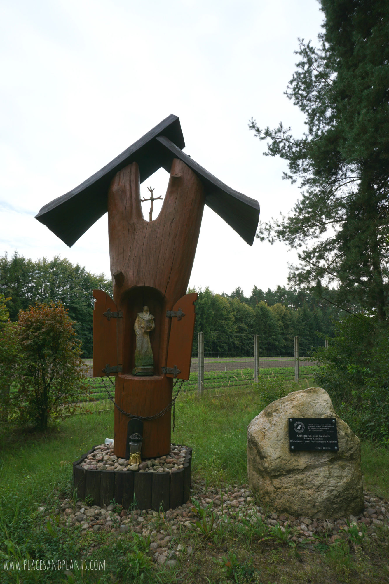 puszcza-kozienicka