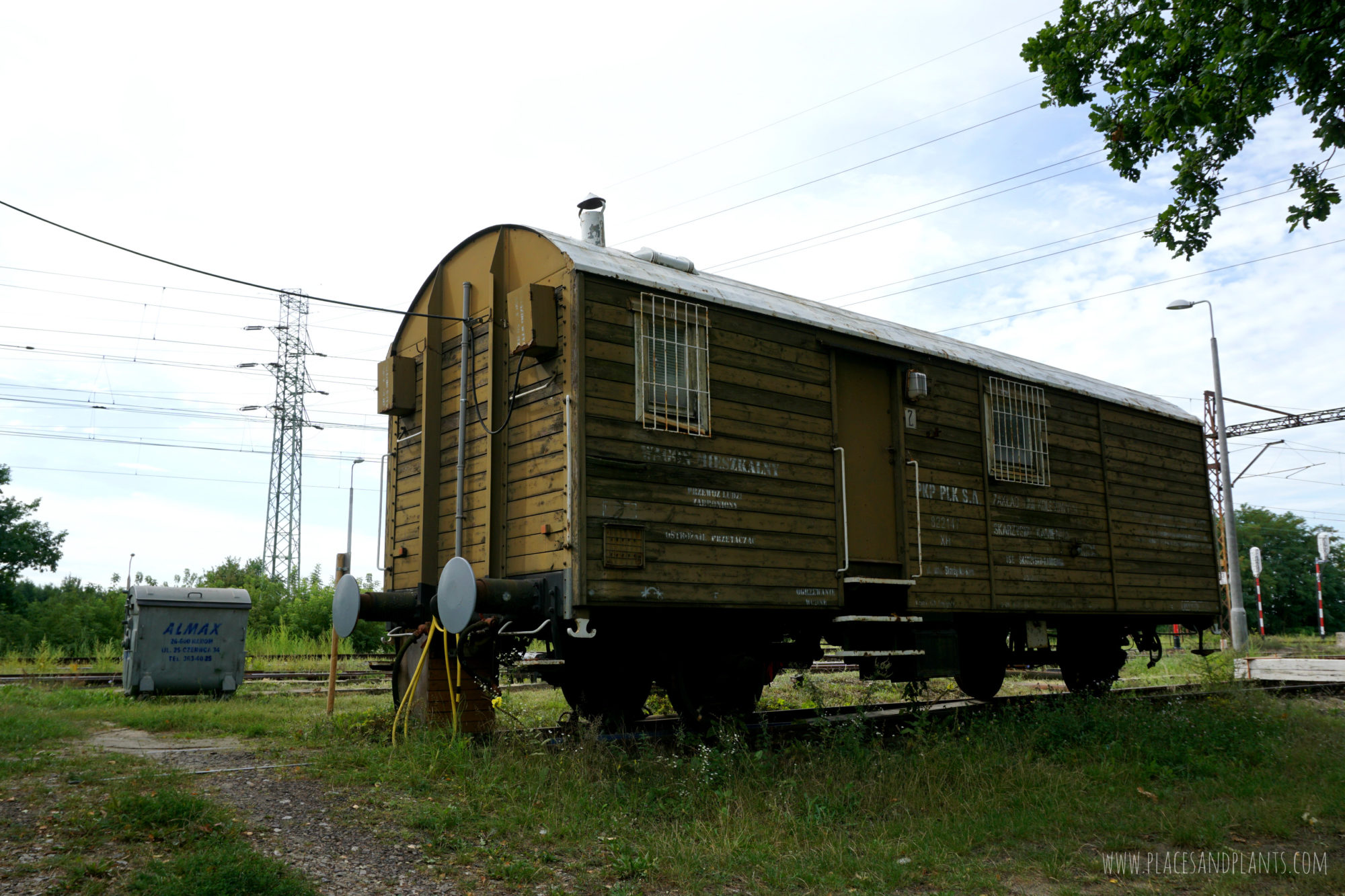puszcza-kozienicka