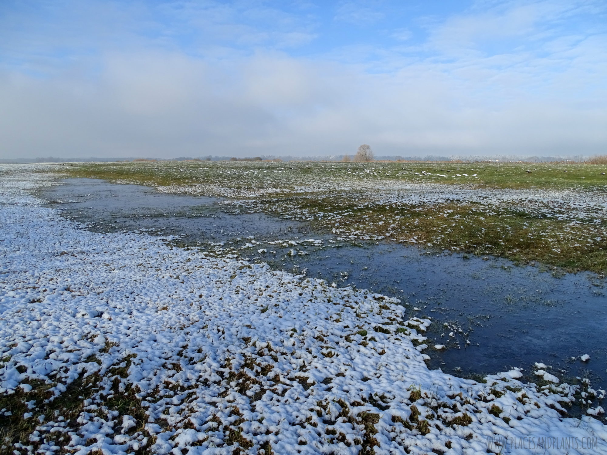 Podlasie