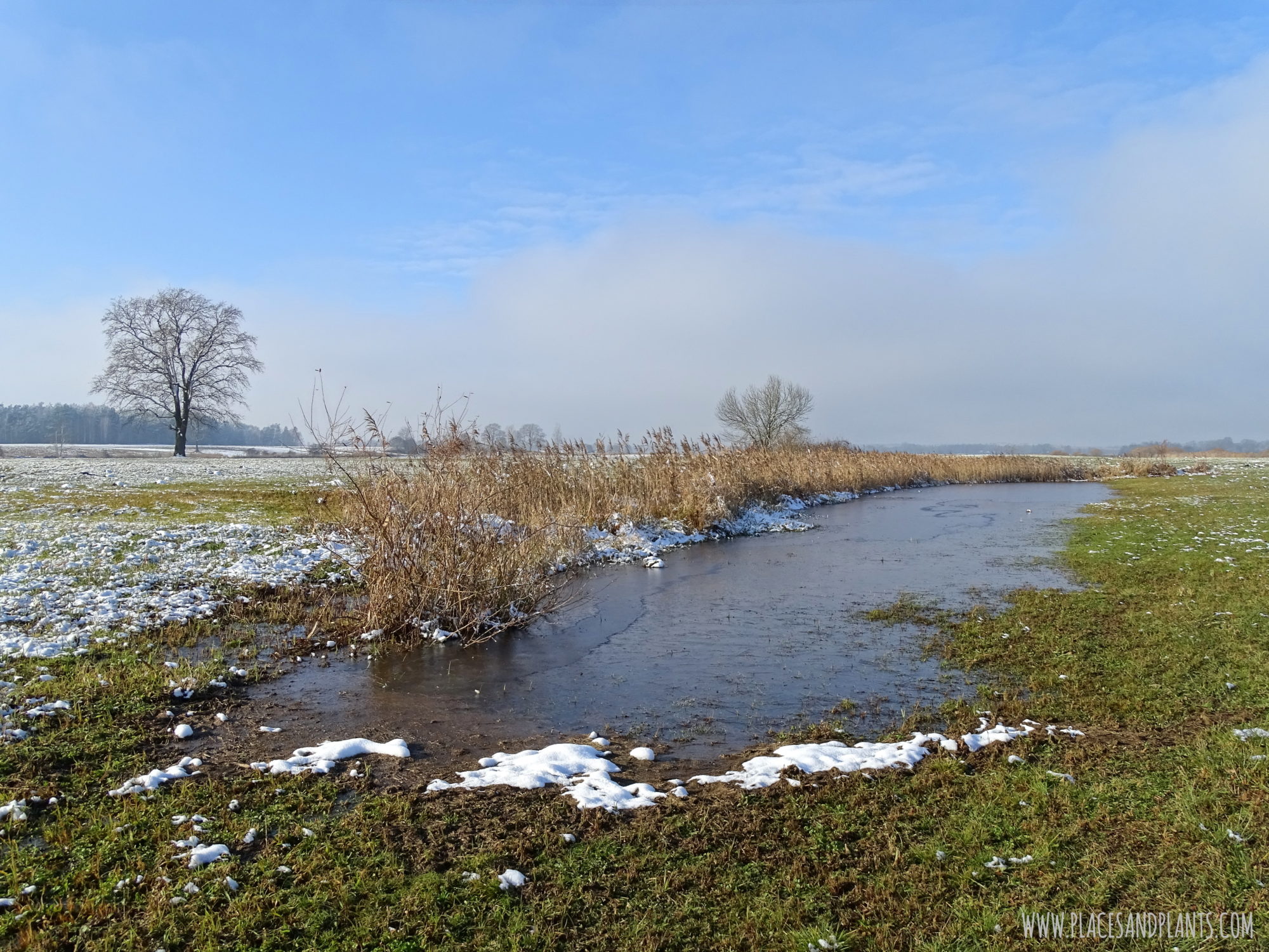 Podlasie