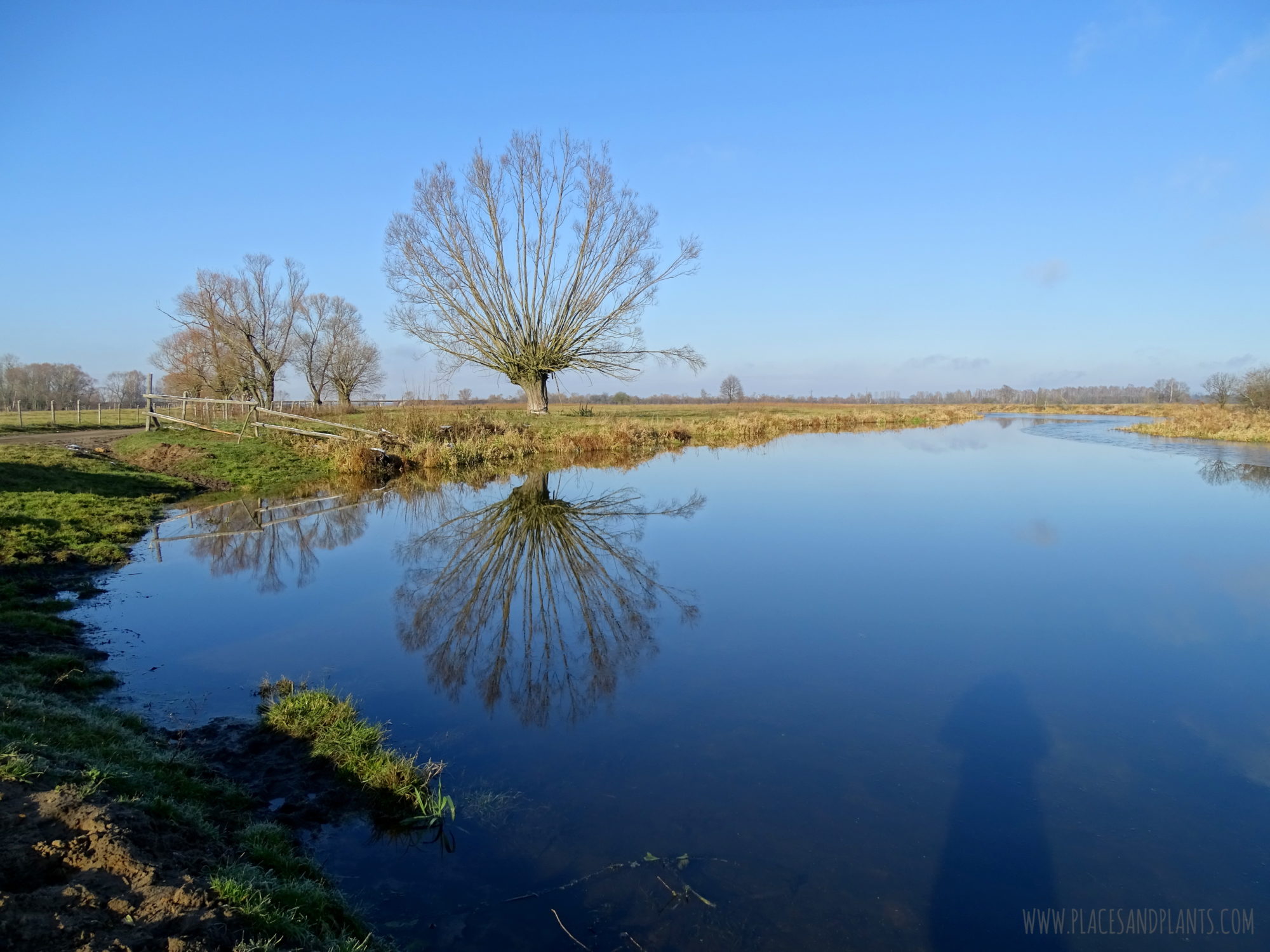 Podlasie