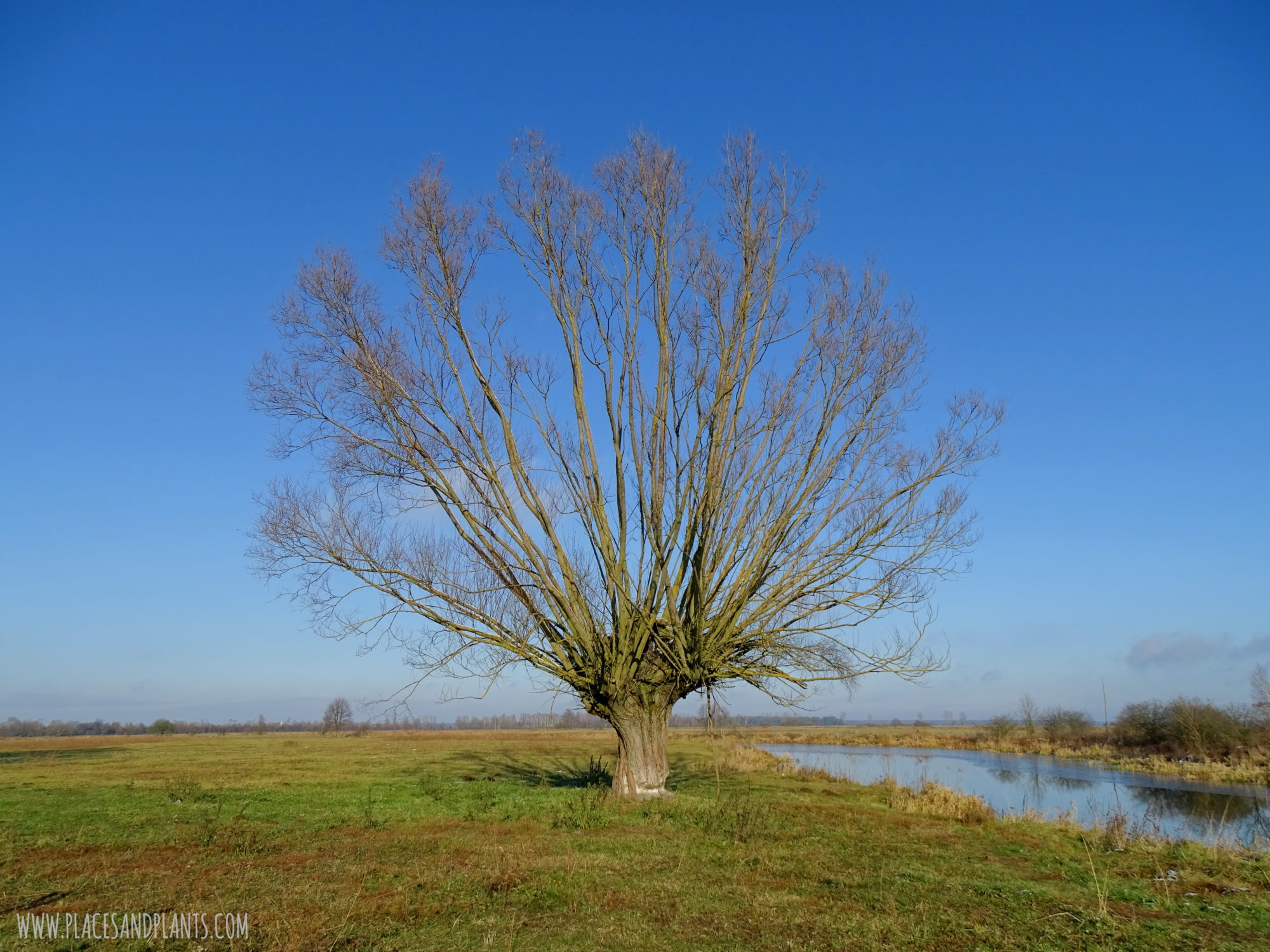 Podlasie
