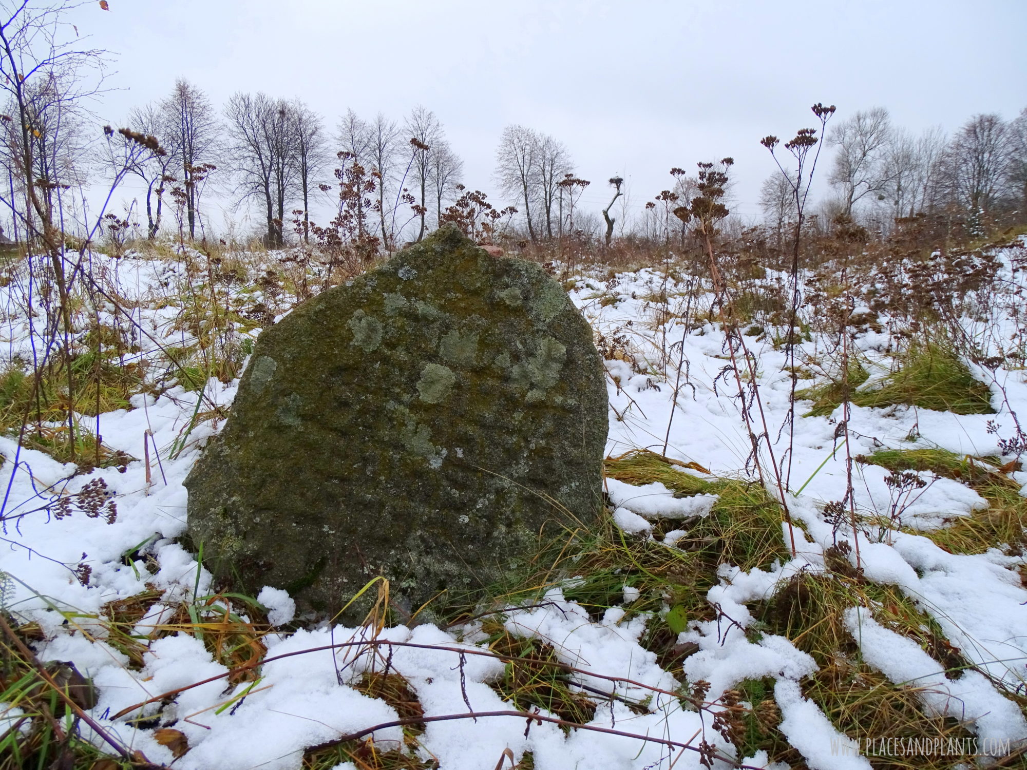 Podlasie