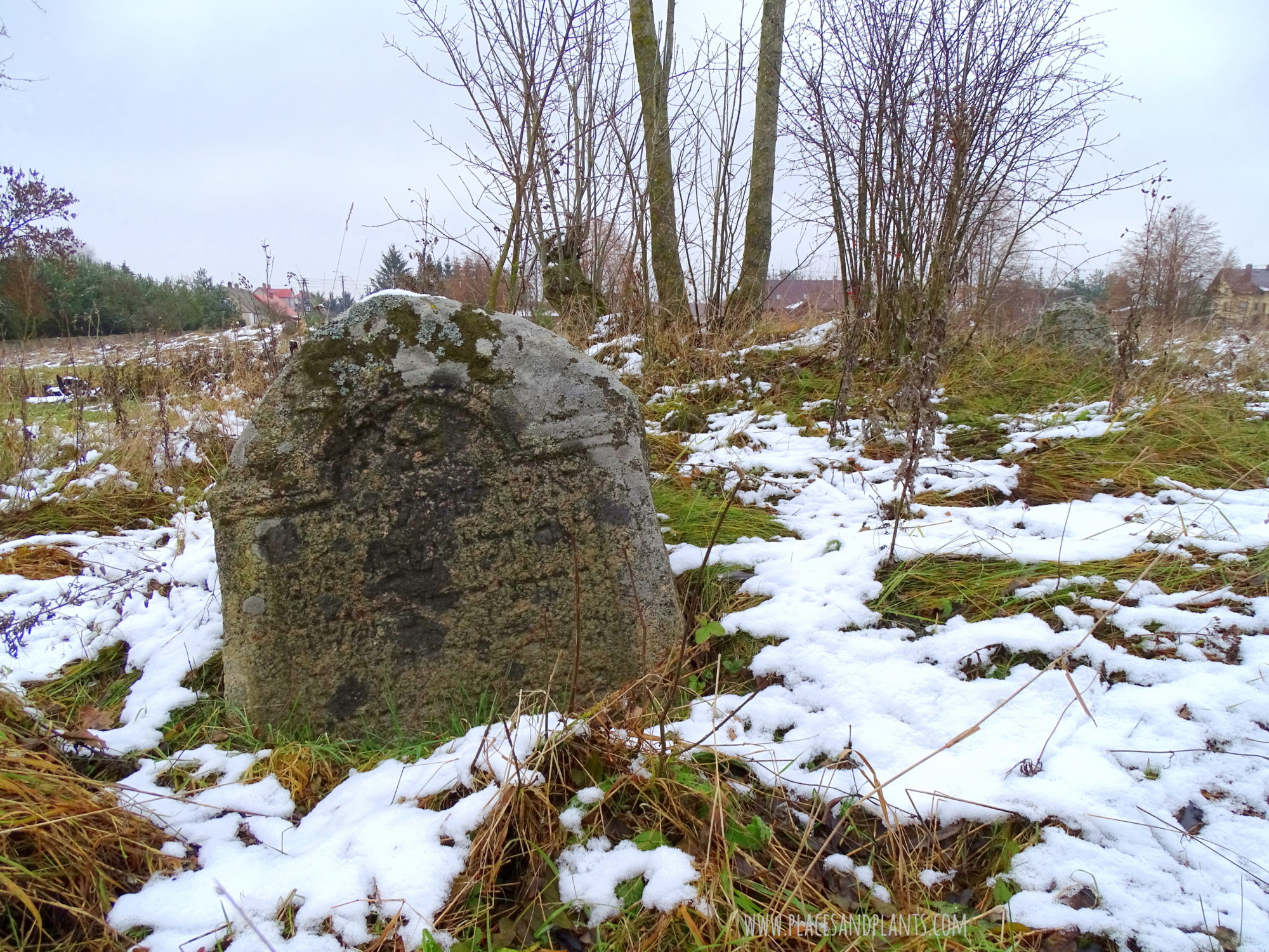 Podlasie