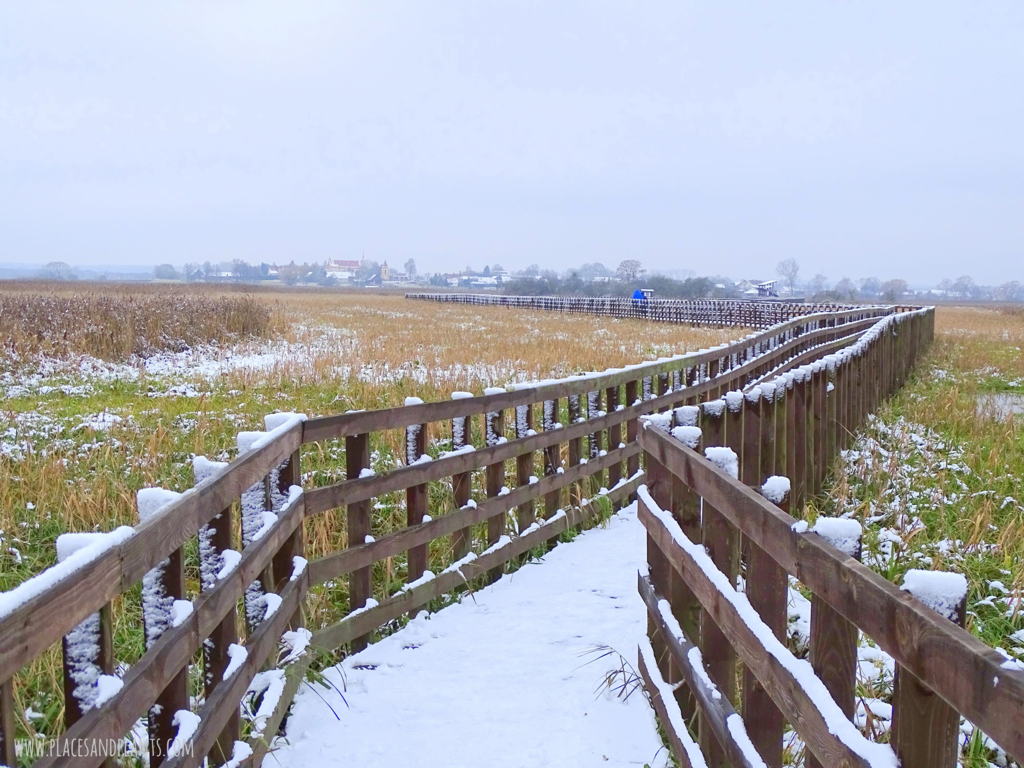 Podlasie Narwiański Park Narodowy