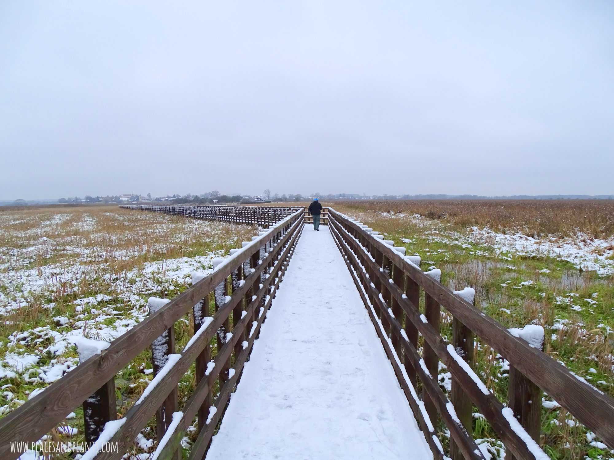 Podlasie Narwiański Park Narodowy