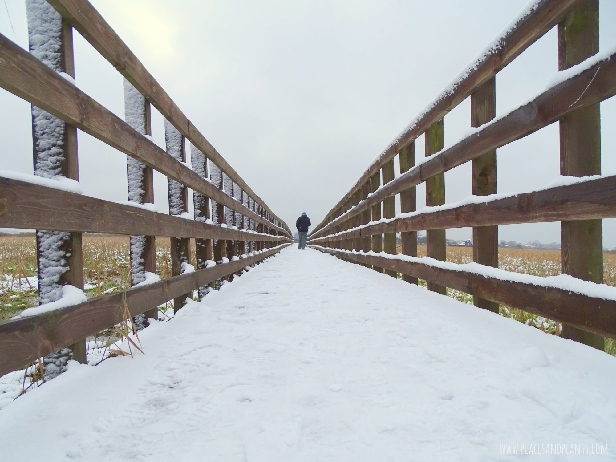 Podlasie Narwiański Park Narodowy