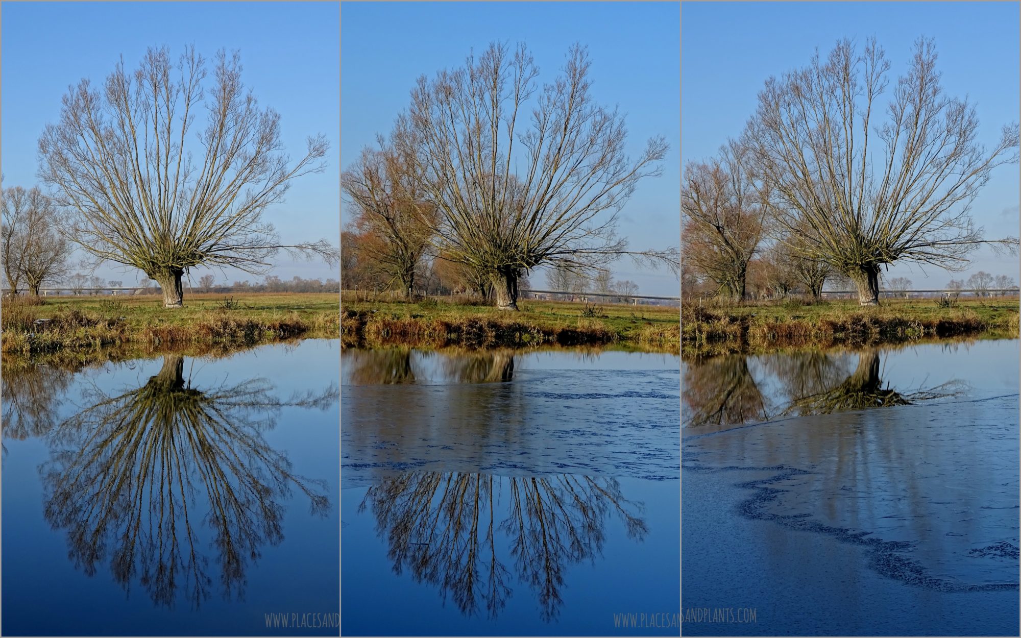 Podlasie