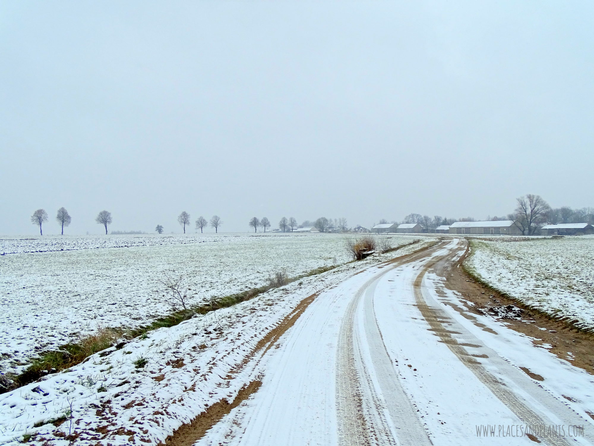 podlasie-1-10