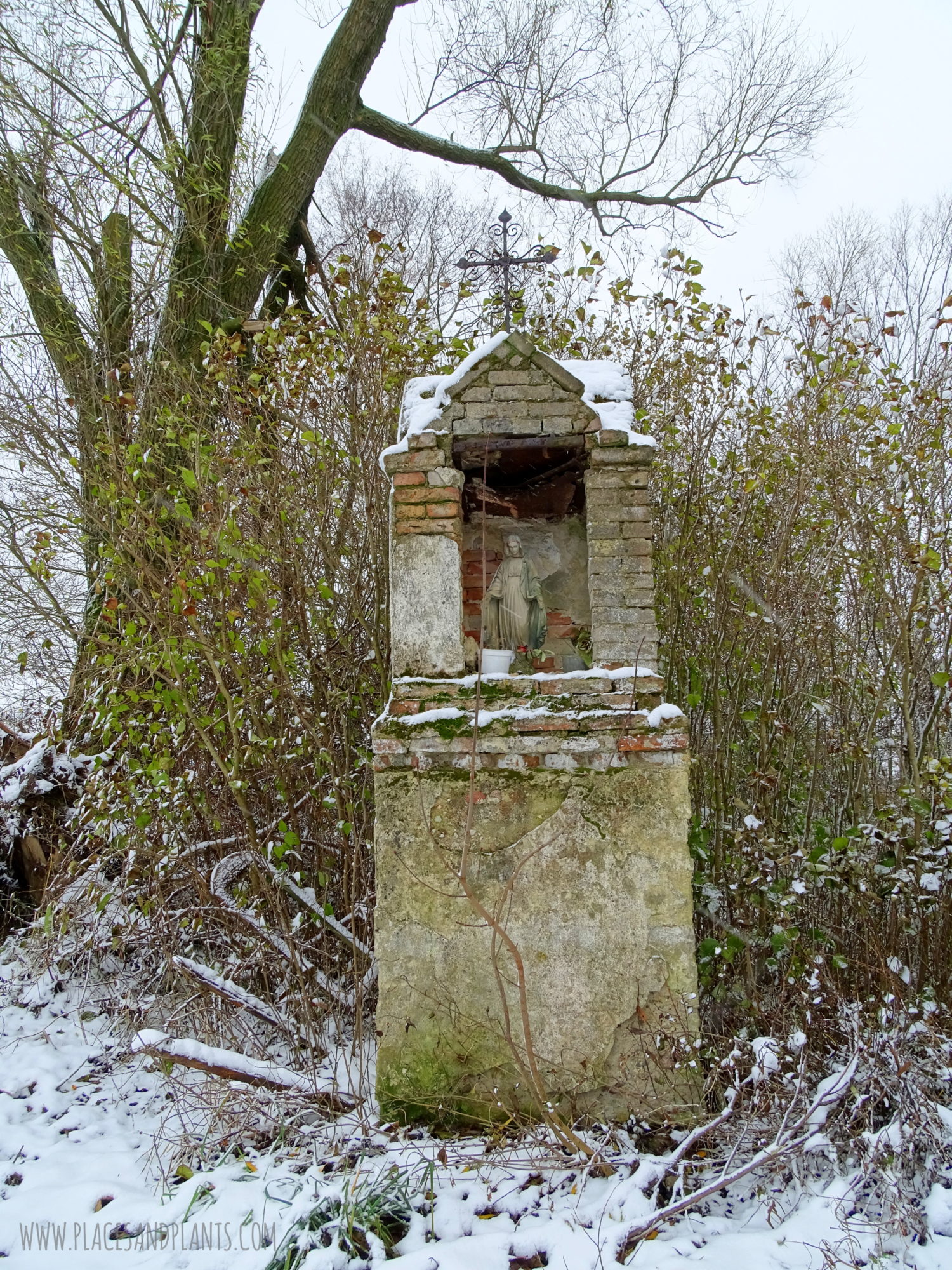 podlasie-1-12