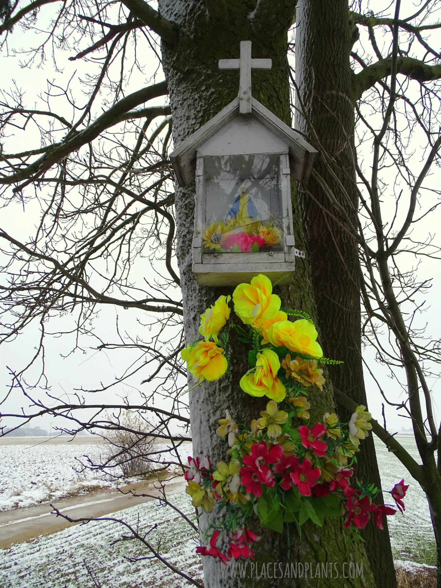 podlasie-1-14