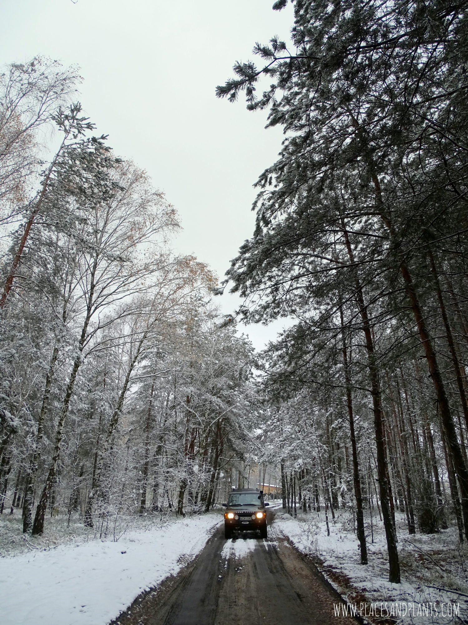 podlasie-1-2