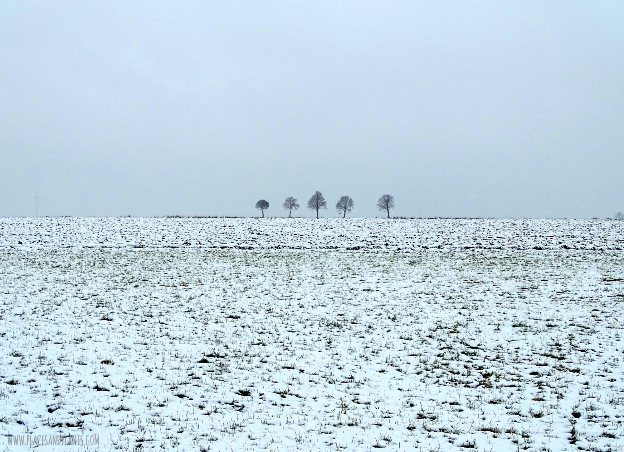 podlasie-1-6