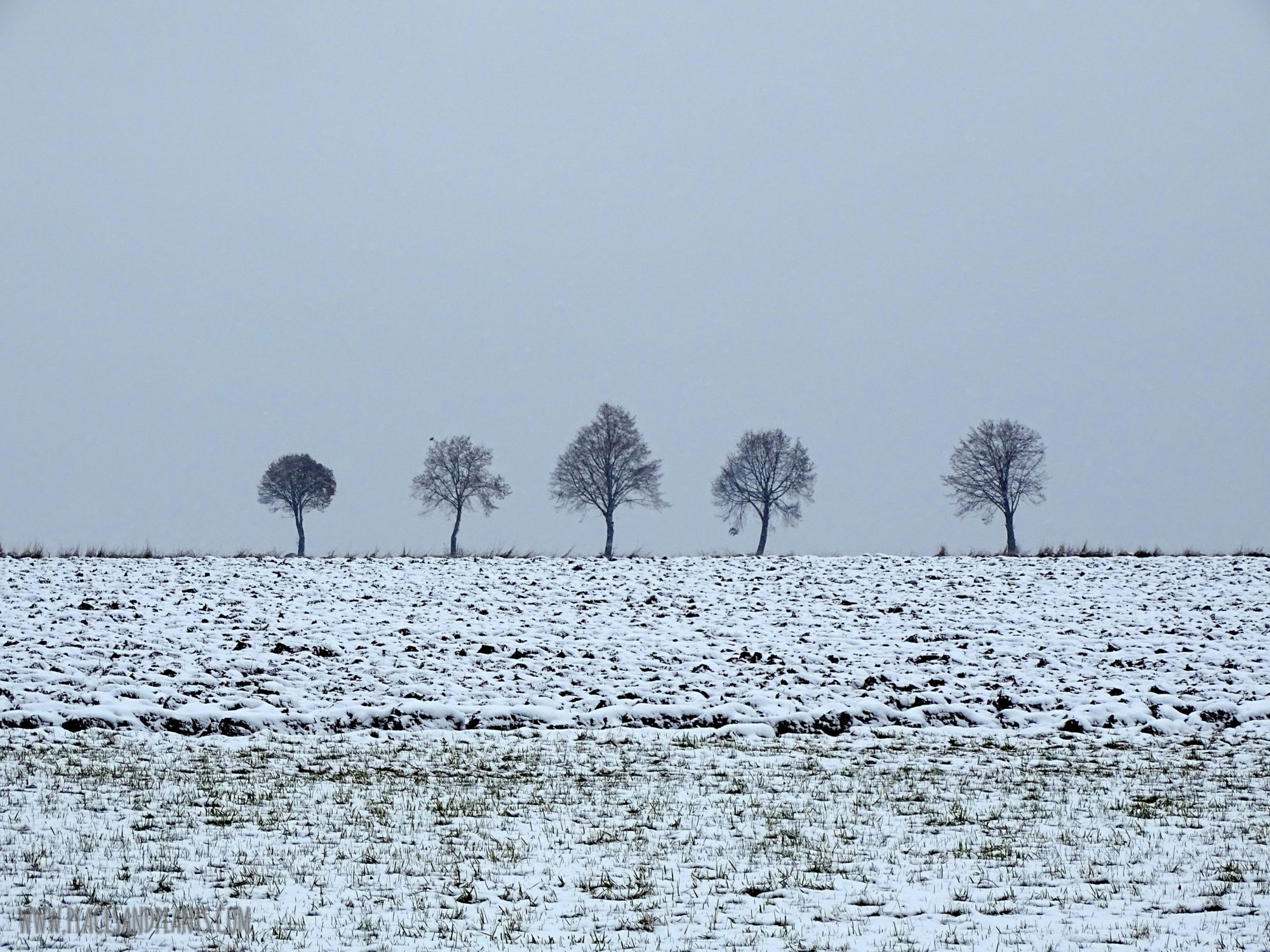 podlasie-1-7