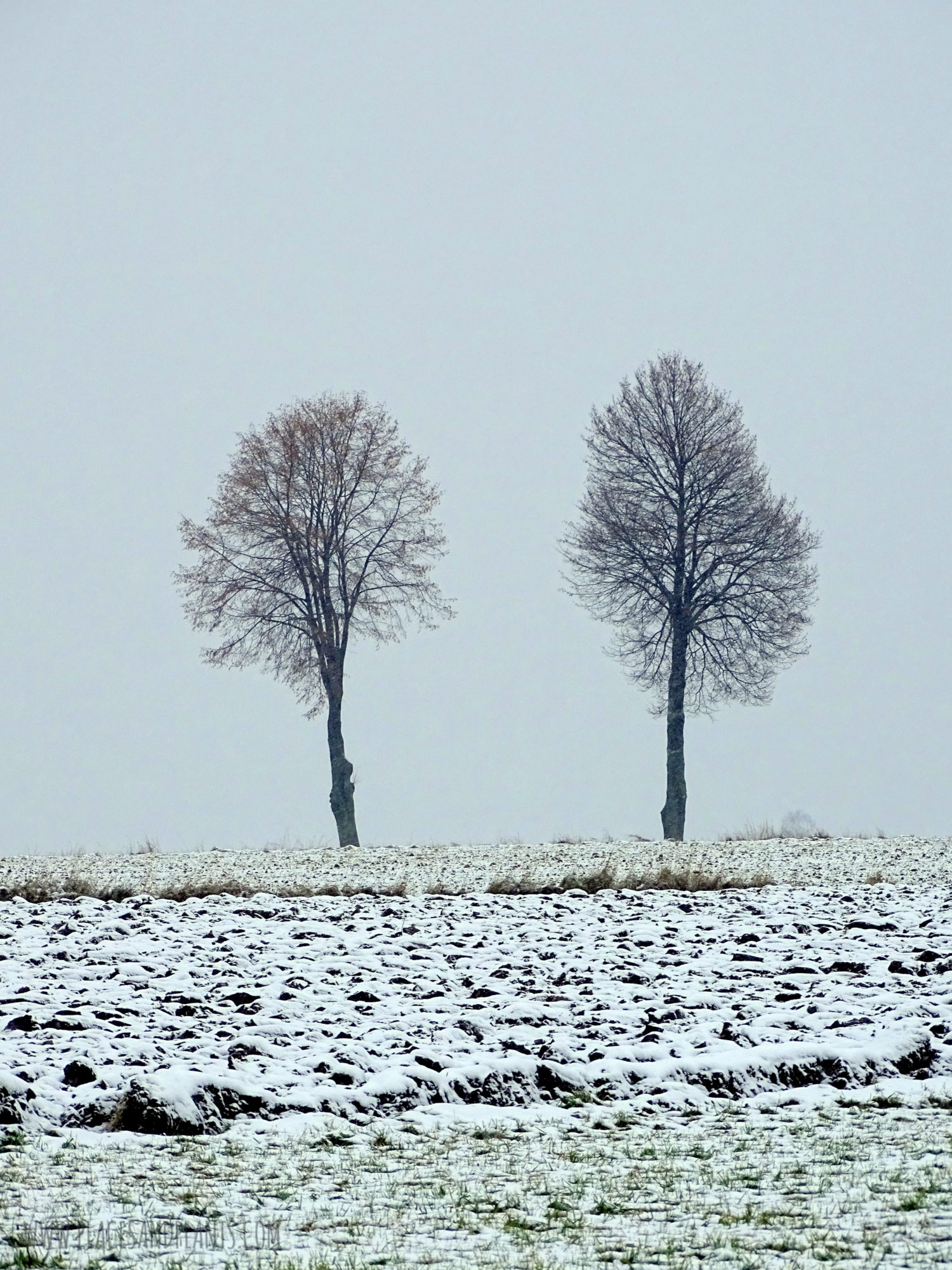 podlasie-1-8