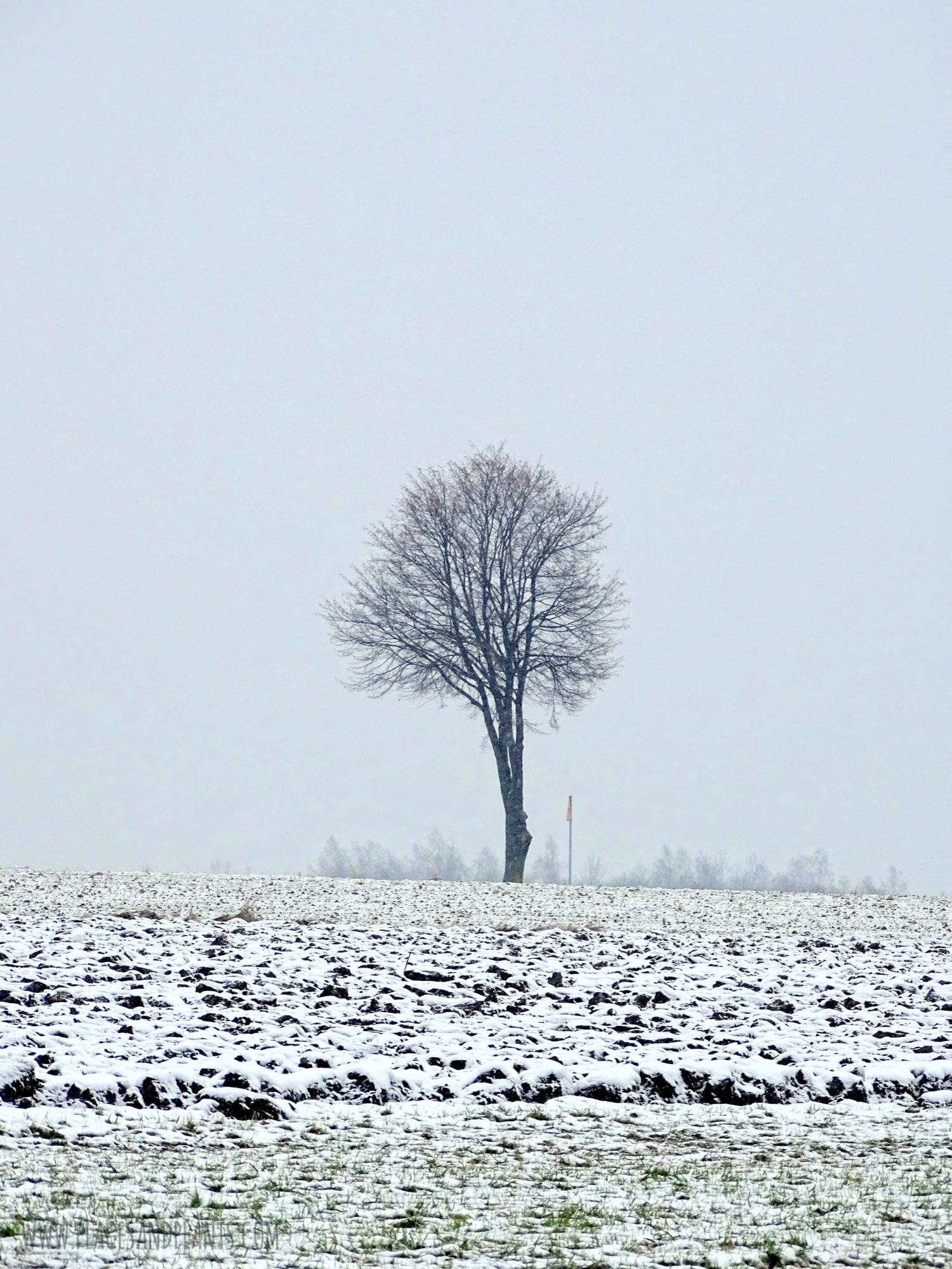 podlasie-1-9