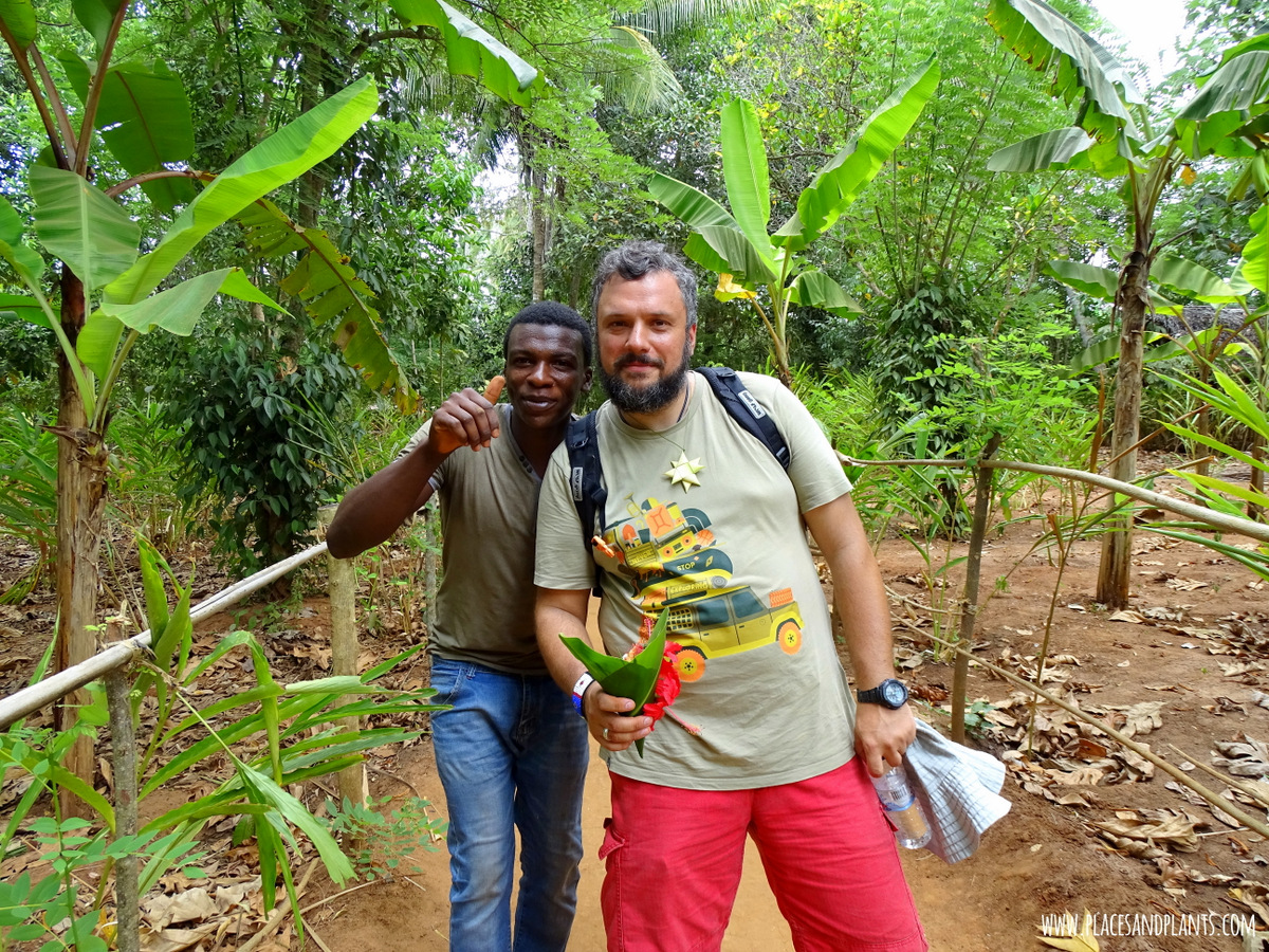 ogród przypraw Zanzibar