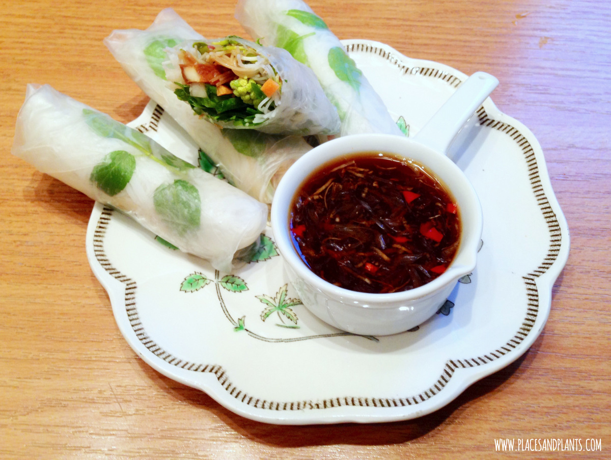Spring rollsy wegańskie
