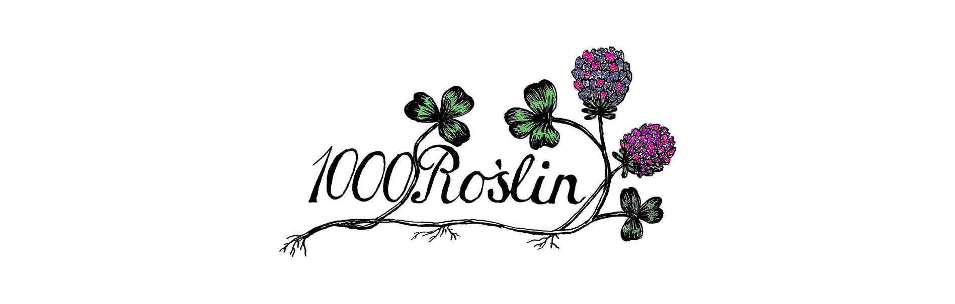 poszukiwacze roślin grupa
