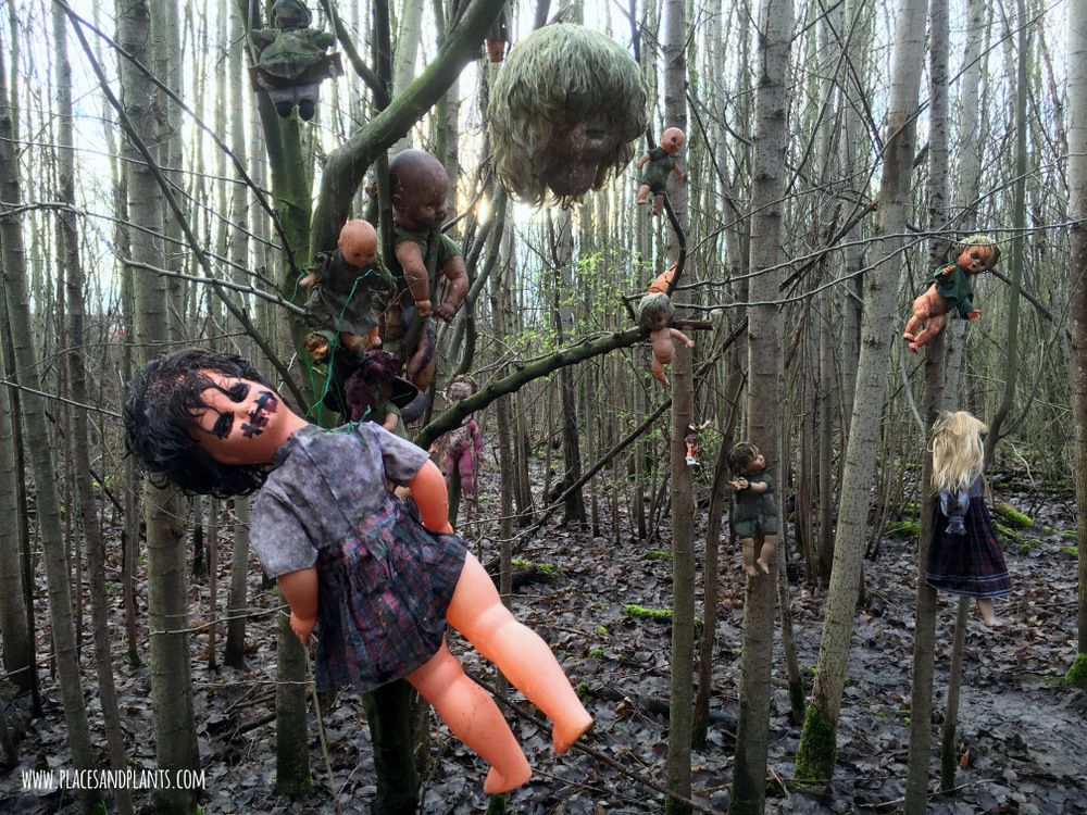 Znalezione obrazy dla zapytania wyspa lalek