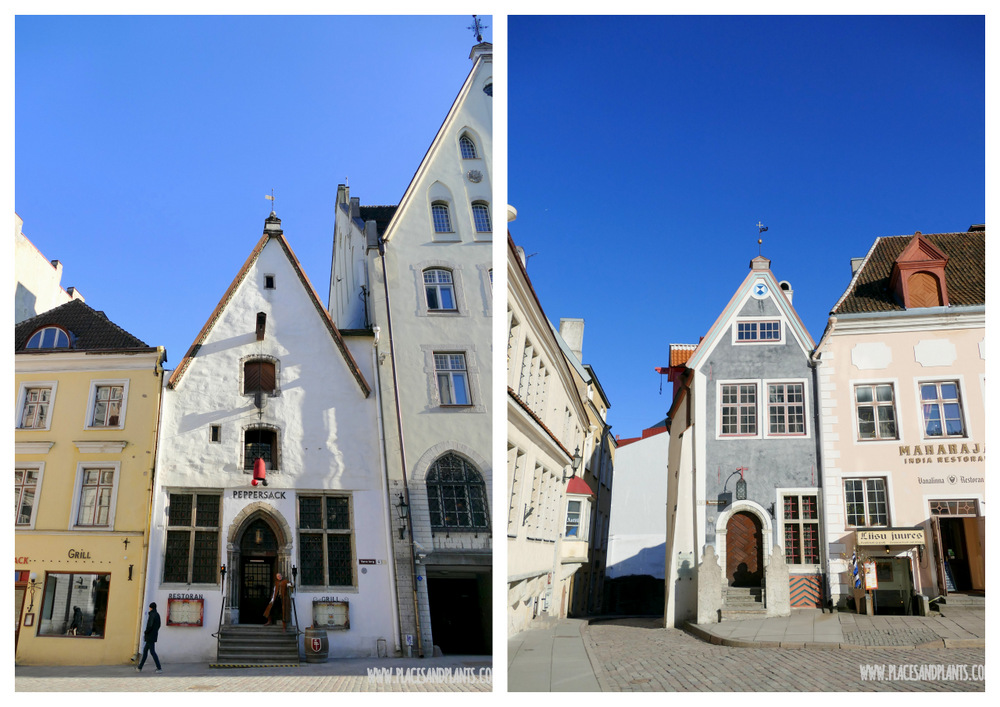 Estonia zimą